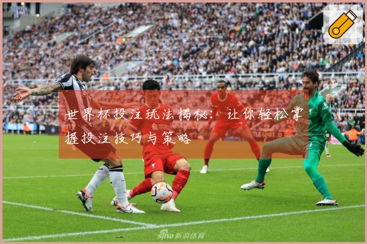 世界杯投注玩法揭秘：让你轻松掌握投注技巧与策略