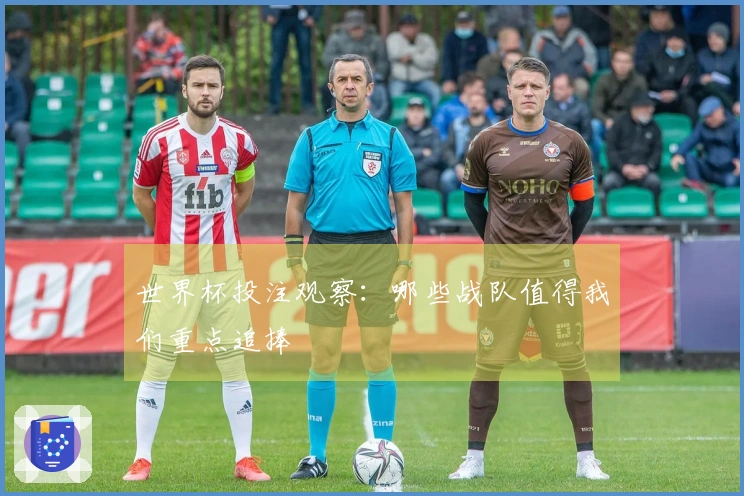 世界杯投注观察：哪些战队值得我们重点追捧