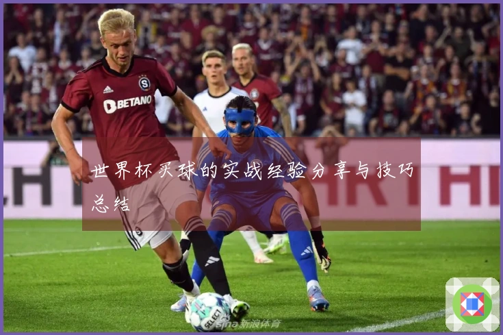 世界杯买球的实战经验分享与技巧总结