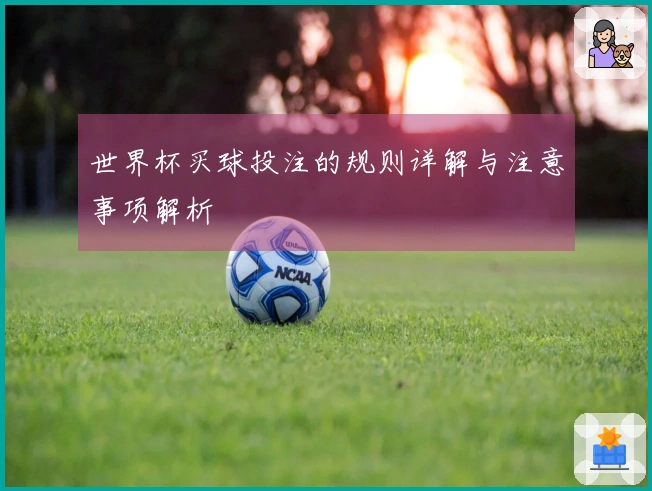 世界杯买球投注的规则详解与注意事项解析