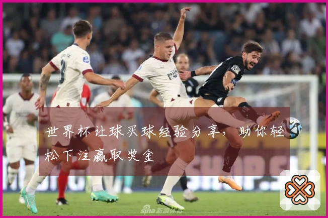 世界杯让球买球经验分享，助你轻松下注赢取奖金
