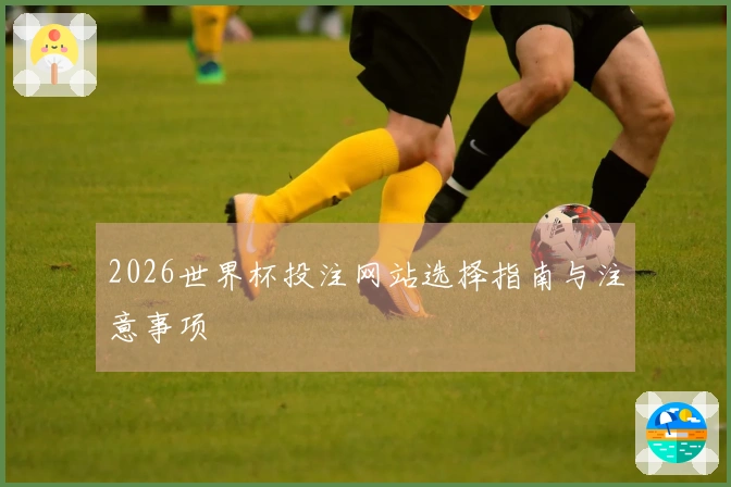 2026世界杯投注网站选择指南与注意事项
