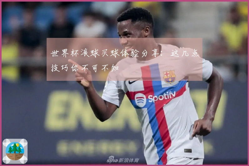 世界杯滚球买球体验分享：这几点技巧你不可不知