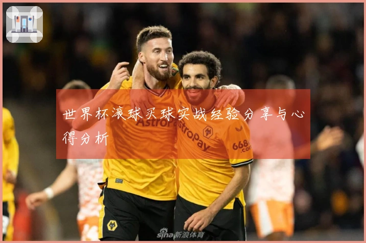 世界杯滚球买球实战经验分享与心得分析
