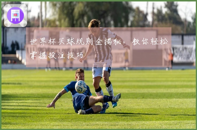 世界杯买球规则全揭秘，教你轻松掌握投注技巧