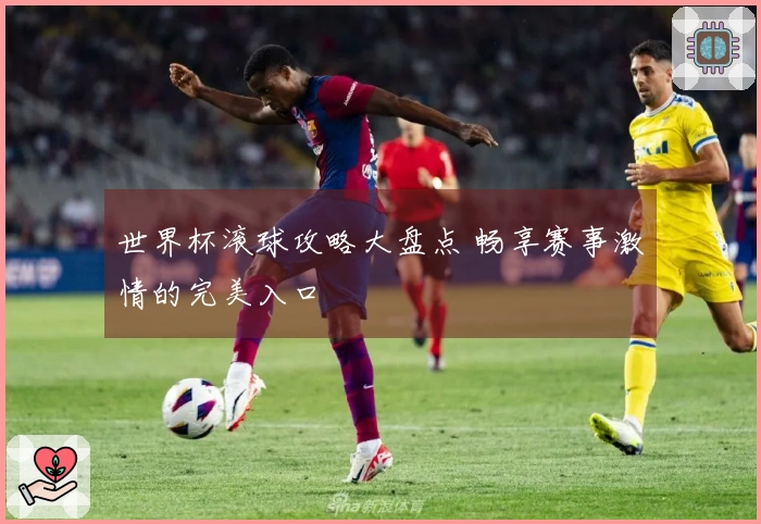 世界杯滚球攻略大盘点 畅享赛事激情的完美入口