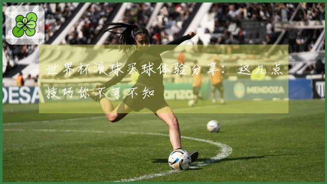 世界杯滚球买球体验分享：这几点技巧你不可不知