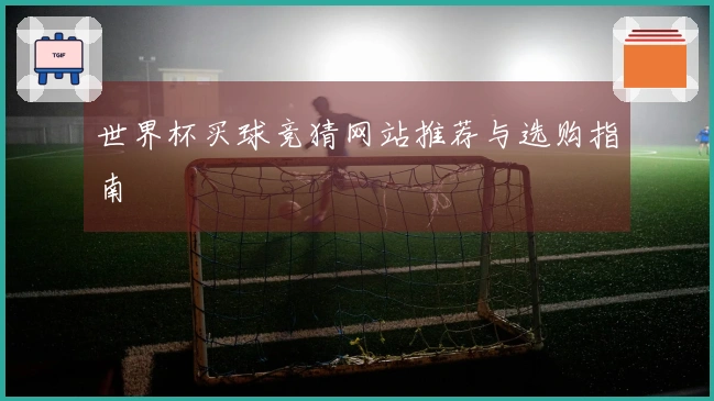 世界杯买球竞猜网站推荐与选购指南