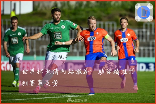 世界杯竞猜网站推荐：助你精准预测赛事走势