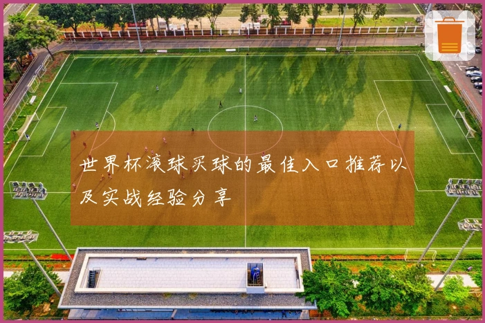 世界杯滚球买球的最佳入口推荐以及实战经验分享