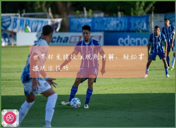 世界杯竞猜投注规则详解，轻松掌握玩法技巧