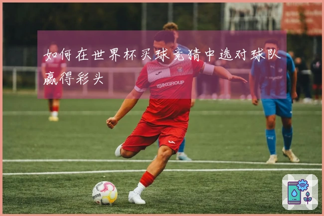 如何在世界杯买球竞猜中选对球队赢得彩头