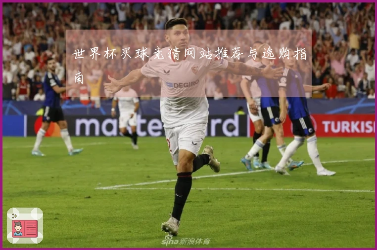 世界杯买球竞猜网站推荐与选购指南