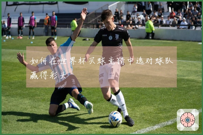 如何在世界杯买球竞猜中选对球队赢得彩头